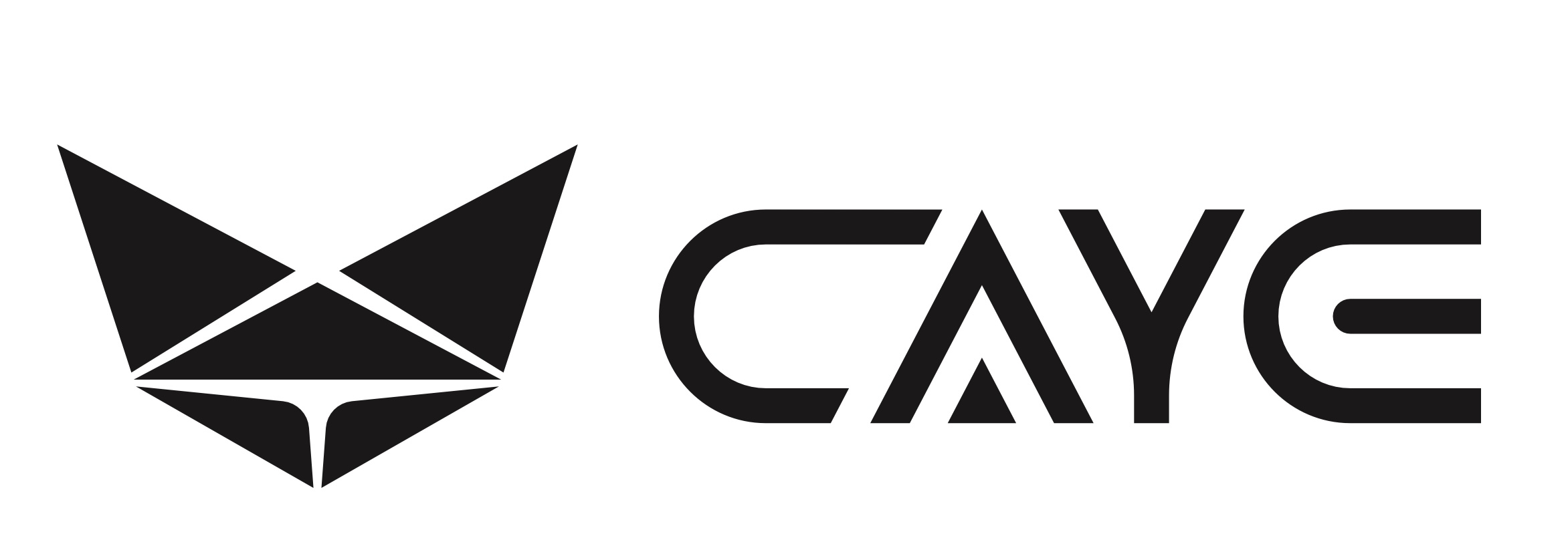 Logo CAYE